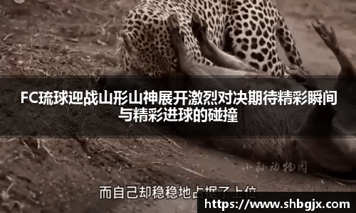 ABG欧博网娱乐平台登录